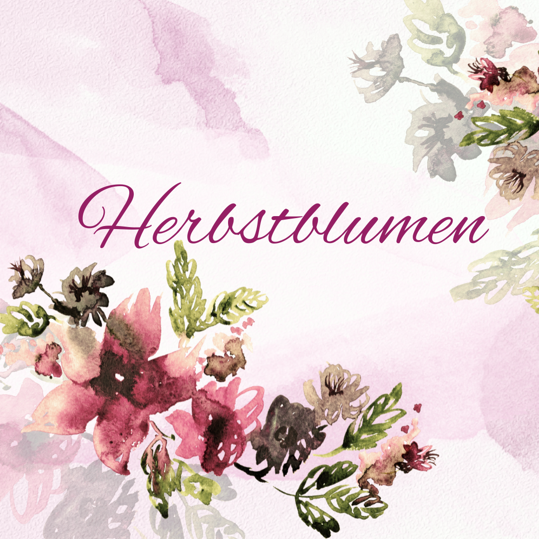 Herbstblumen
